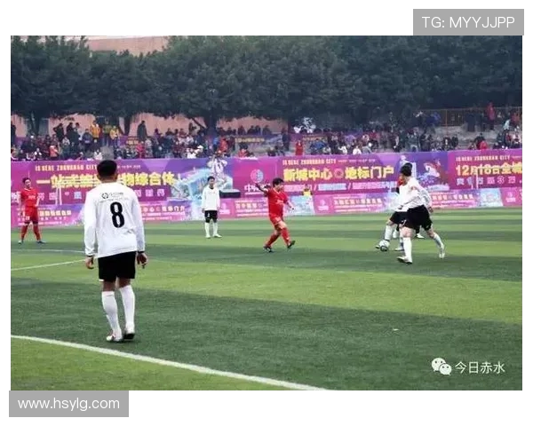 足球明星在2008年为慈善事业捐款总额揭秘及其影响分析