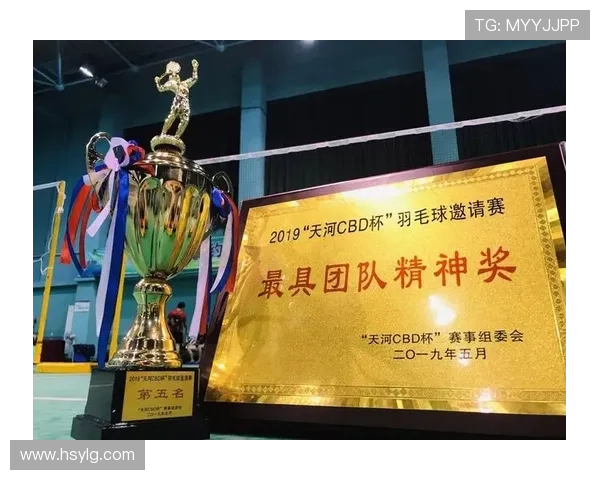 羽毛球心理素质评比揭晓深圳羽毛球队荣登第五名引关注