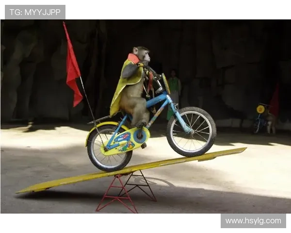 足球明星的杂技表演魅力揭秘让你惊叹不已的运动才华与艺术结合