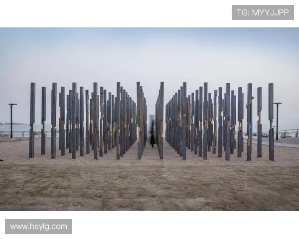 广州排球队的阵地战策略分析与未来发展展望